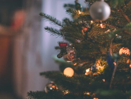 How to Choose the Perfect Christmas Tree for Your Home This Holiday Season