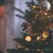 How to Choose the Perfect Christmas Tree for Your Home This Holiday Season