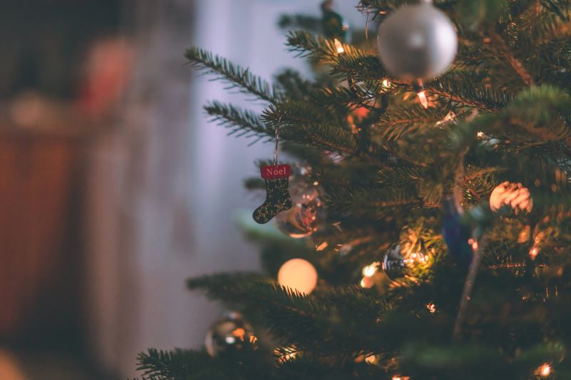 How to Choose the Perfect Christmas Tree for Your Home This Holiday Season