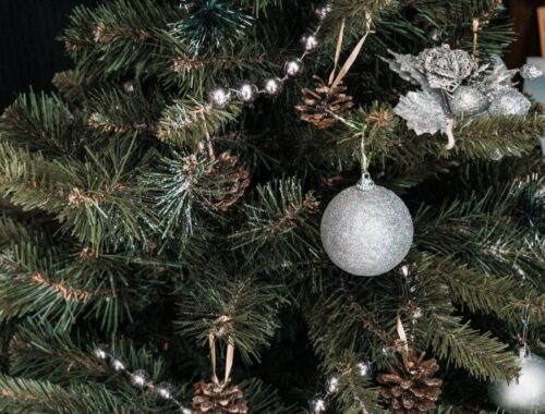 Winter Flora: Using Native Plants and Foliage in Your Christmas Wreaths and Garlands