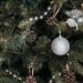 Winter Flora: Using Native Plants and Foliage in Your Christmas Wreaths and Garlands