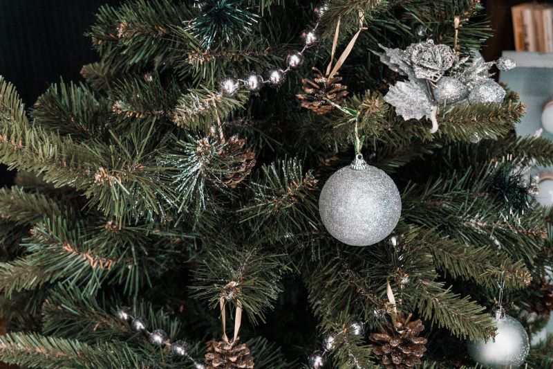 Winter Flora: Using Native Plants and Foliage in Your Christmas Wreaths and Garlands